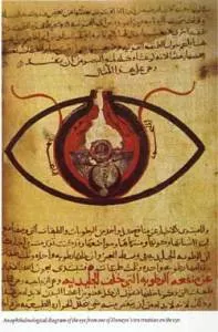 Der Schädel