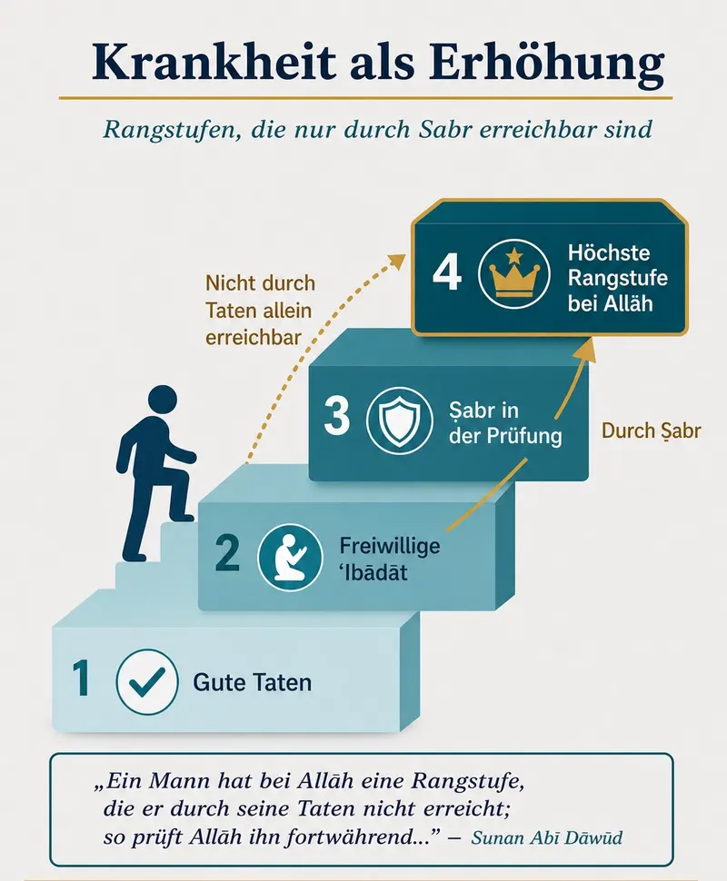 Krankheit als Erhöhung – Rangstufen, die nur durch Sabr erreichbar sind